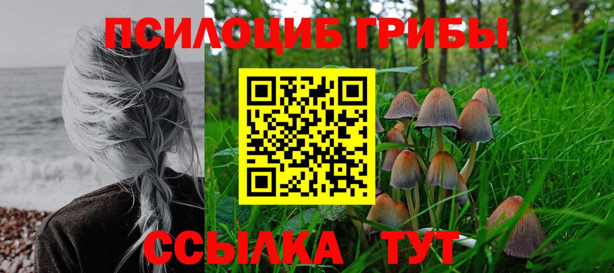 Псилоцибиновые грибы Psilocybine cubensis  Вход с VPN  Азов  где продают наркотики  Галлюциногенные грибы Cubensis 