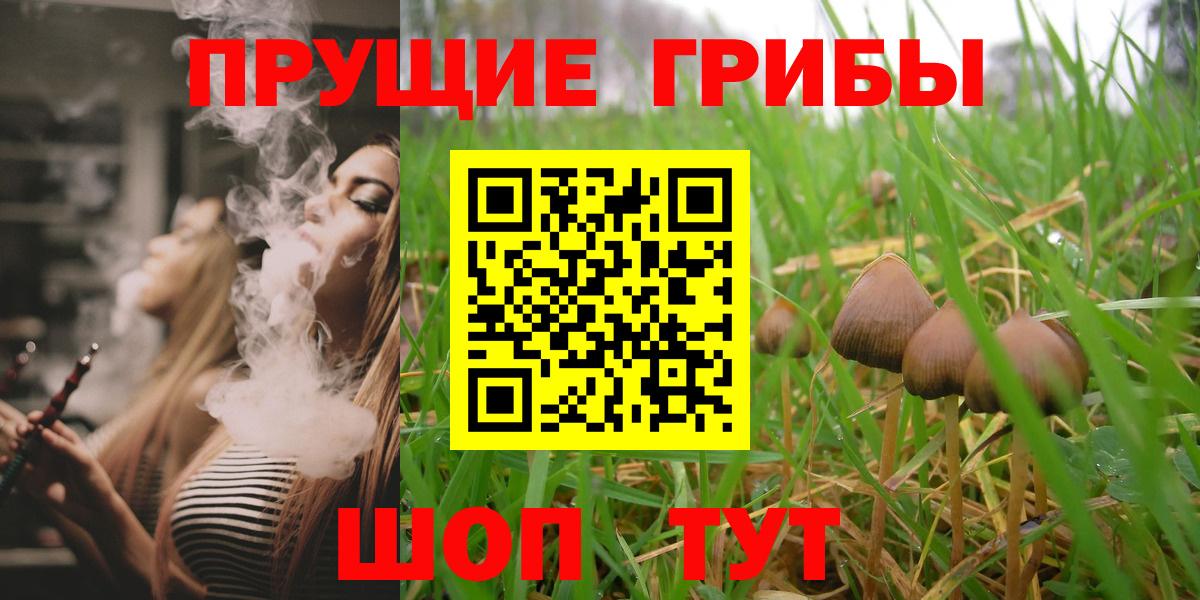 Псилоцибиновые грибы мухоморы Азов